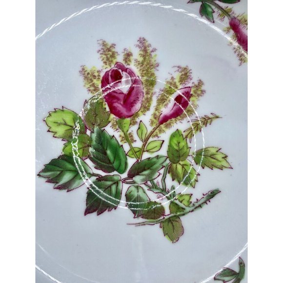 Royal Chelsea "Moss Rose" collection, English Bone China teacup and saucer - Picture 9 of 12